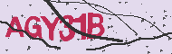 Captcha-koodi